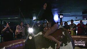 Chicas calientes en ropa interior montando toros en un bar local